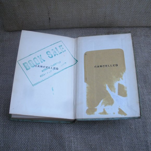 For Love of a Donkey by Betty Morgan Bowen - Picture 10 of 16